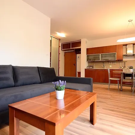 Apartment Victus Apartamenty, Petit